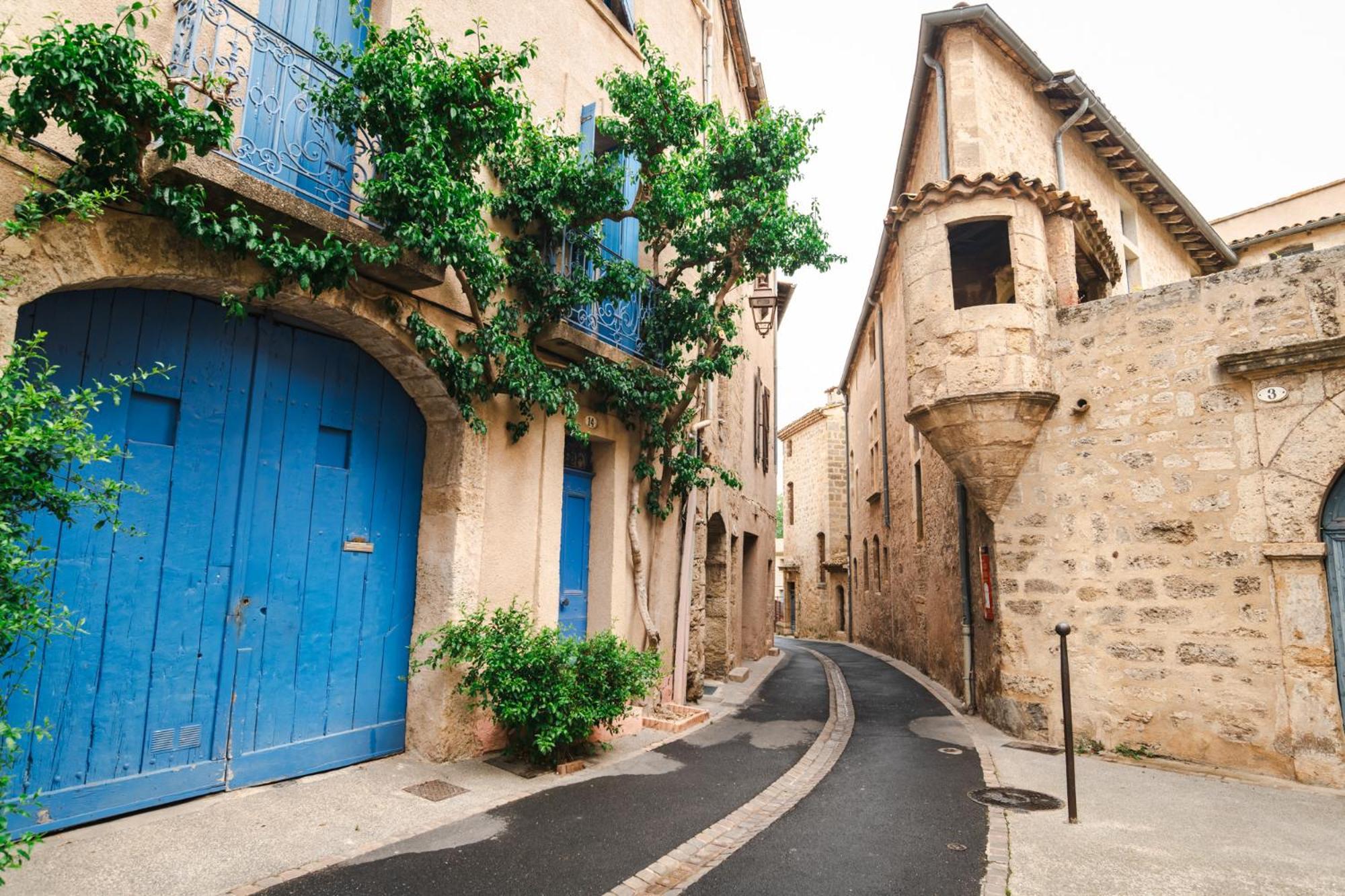 Chateau Du Parc - Gites & Spas A Pézenas Dış mekan fotoğraf